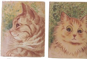 Cats